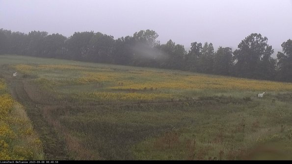 Cell 2_23-09-08_08-48-50-90