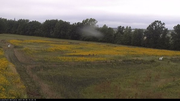 Cell 2_23-09-08_10-29-18-89