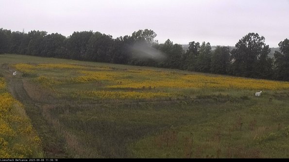 Cell 2_23-09-08_11-36-18-89