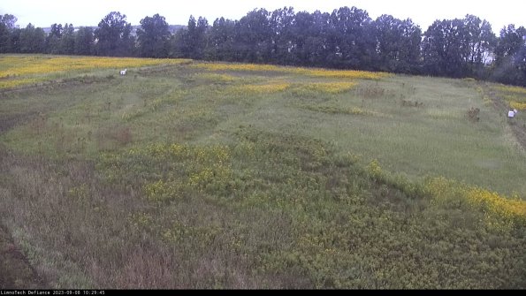 Cell 3_23-09-08_10-29-46-08