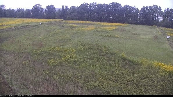 Cell 3_23-09-08_11-36-46-02