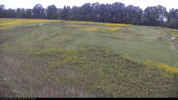 Cell 3_23-09-08_13-50-45-87