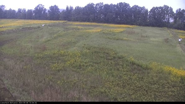 Cell 3_23-09-08_16-04-43-15