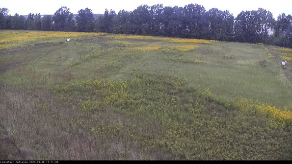 Cell 3_23-09-08_17-11-41-15