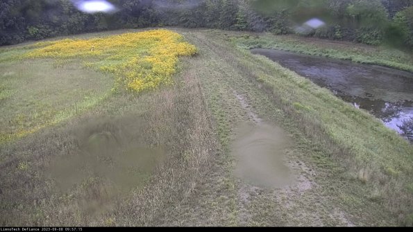 Cell 4 to Basin_23-09-08_09-57-15-89