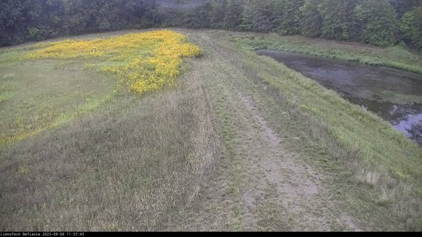 Cell 4 to Basin_23-09-08_11-37-43-88