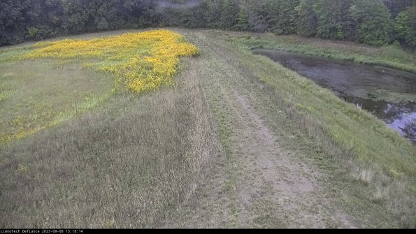 Cell 4 to Basin_23-09-08_13-18-14-88