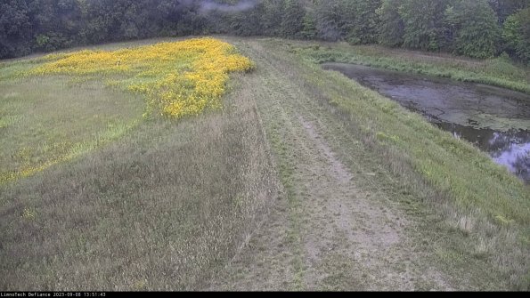 Cell 4 to Basin_23-09-08_13-51-43-90