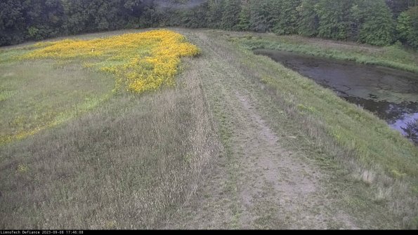 Cell 4 to Basin_23-09-08_17-46-08-90