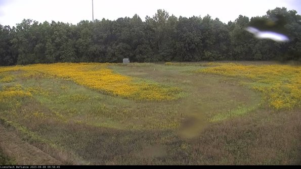 Cell 4_23-09-08_09-56-45-89