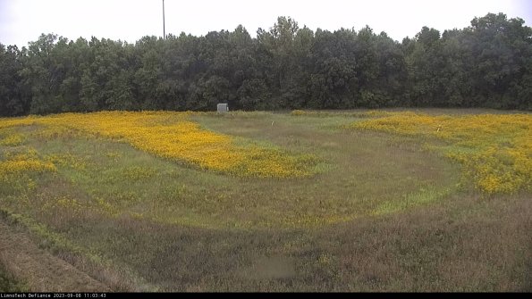 Cell 4_23-09-08_11-03-43-86