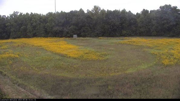 Cell 4_23-09-08_13-51-13-87