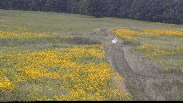 Cell 1 to 2_23-09-09_12-10-01-88