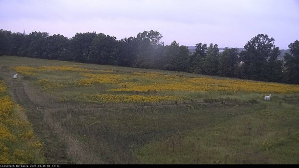 Cell 2_23-09-09_07-42-14-90