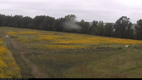 Cell 2_23-09-09_11-03-15-92