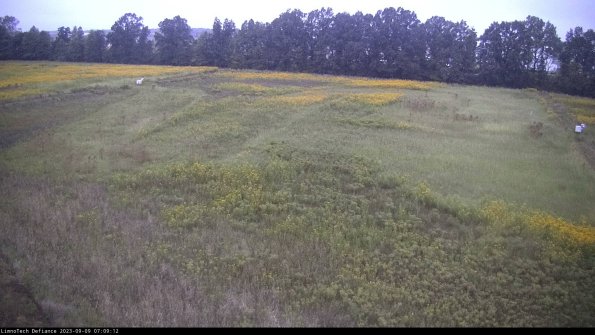 Cell 3_23-09-09_07-09-12-88