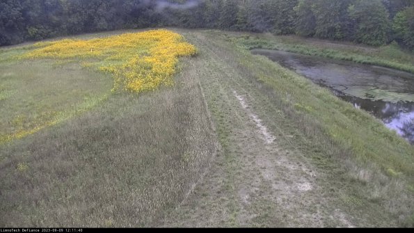 Cell 4 to Basin_23-09-09_12-11-40-88