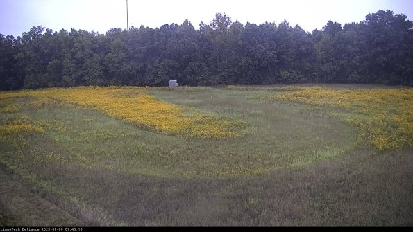 Cell 4_23-09-09_07-43-10-89