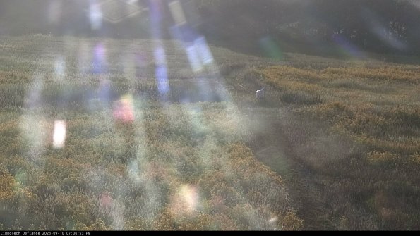 Cell 1 to 2_23-09-10_19-06-53-81