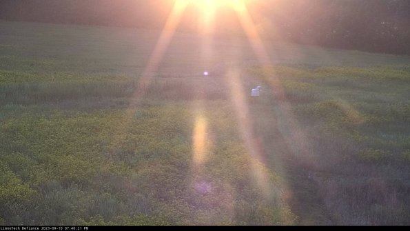 Cell 1 to 2_23-09-10_19-40-21-80