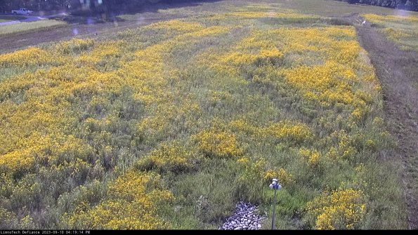 Cell 1_23-09-10_16-19-14-79