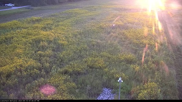 Cell 1_23-09-10_19-40-07-78