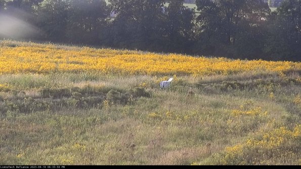 Cell 2 to 3_23-09-10_18-33-50-85