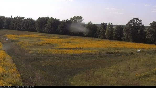 Cell 2_23-09-10_16-53-10-87