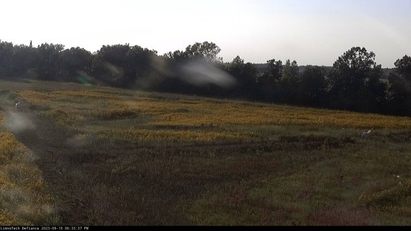 Cell 2_23-09-10_18-33-37-80