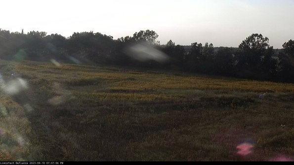 Cell 2_23-09-10_19-07-06-79