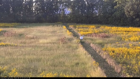 Cell 3 to 4_23-09-10_19-07-47-80