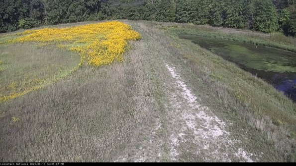 Cell 4 to Basin_23-09-10_16-21-07-81