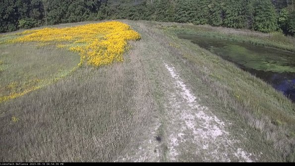 Cell 4 to Basin_23-09-10_16-54-36-83