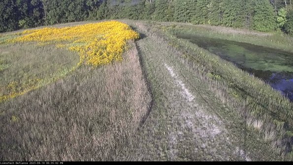 Cell 4 to Basin_23-09-10_18-35-02-79