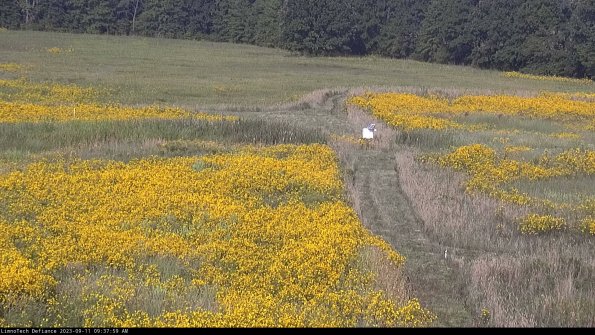 Cell 1 to 2_23-09-11_09-37-59-79