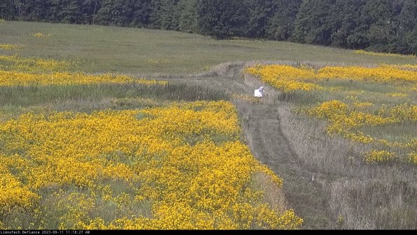 Cell 1 to 2_23-09-11_11-18-27-82