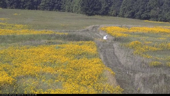 Cell 1 to 2_23-09-11_12-25-25-79