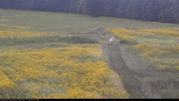 Cell 1 to 2_23-09-11_17-26-49-80