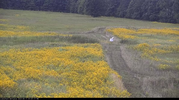 Cell 1 to 2_23-09-11_19-07-17-80