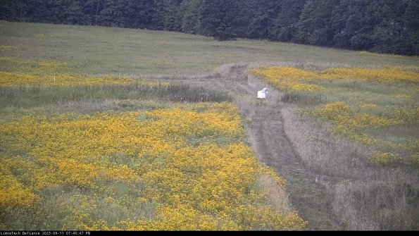 Cell 1 to 2_23-09-11_19-40-47-78