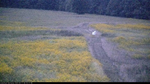 Cell 1 to 2_23-09-11_20-14-17-80