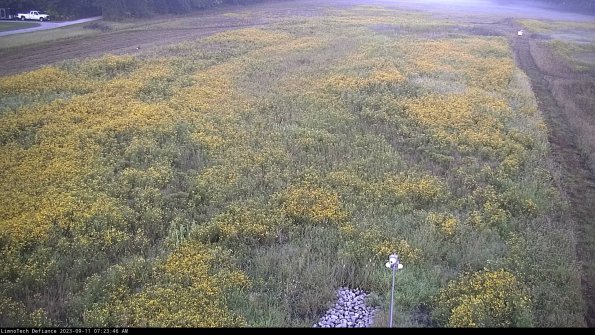 Cell 1_23-09-11_07-23-46-79