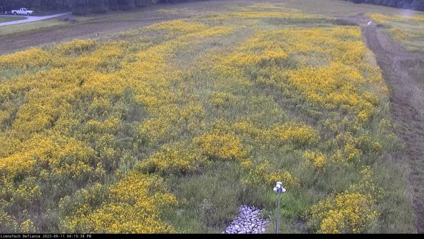 Cell 1_23-09-11_16-19-38-82