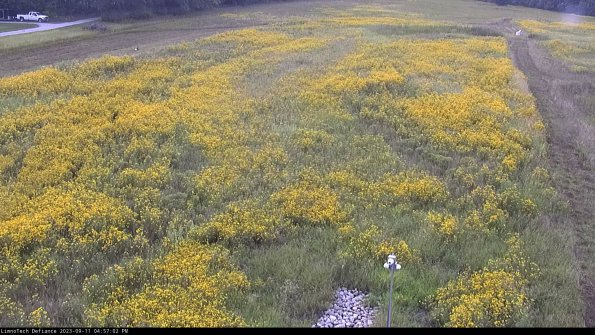 Cell 1_23-09-11_16-57-02-84