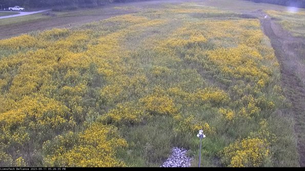 Cell 1_23-09-11_17-26-35-79