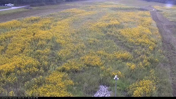 Cell 1_23-09-11_18-00-04-81