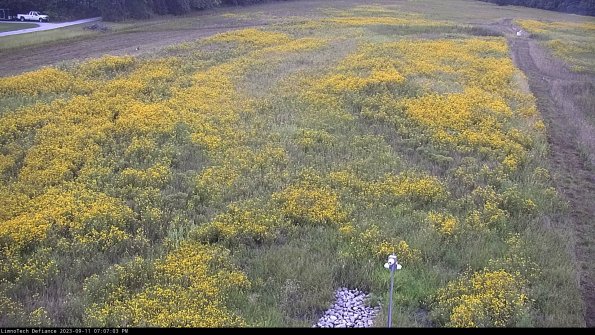 Cell 1_23-09-11_19-07-03-78