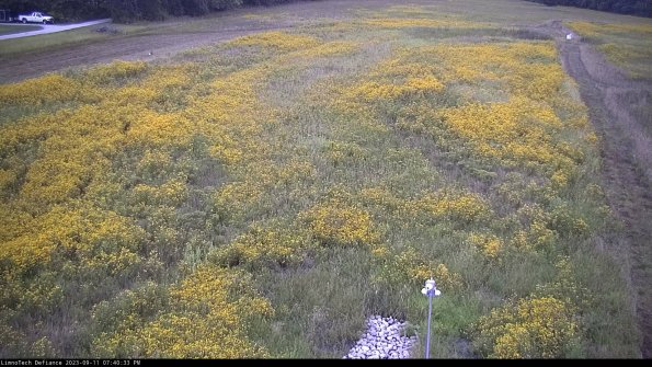 Cell 1_23-09-11_19-40-33-80