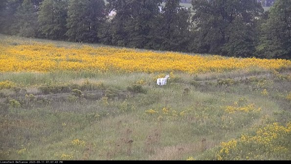 Cell 2 to 3_23-09-11_19-07-43-92