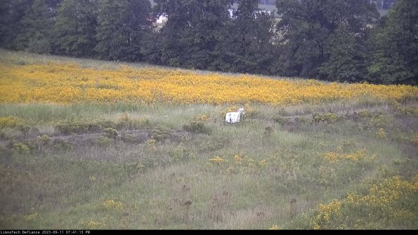 Cell 2 to 3_23-09-11_19-41-13-91